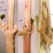 Habitation • In stem of Eupatorium cannabinum. July. Lleyn, Caerns. • © Ian Smith