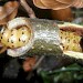 Larva • Feeding in Betula twig. • © Dave Watson