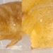 Larval plates • Intermediate instar larva. Ex Potamogeton. • © Ian Smith