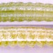 Larva • In stem of Tanacetum vulgare. Imago reared. Queensferry, Flints. • © Ian Smith